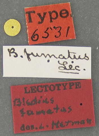 Media type: image;   Entomology 6531 Aspect: labels